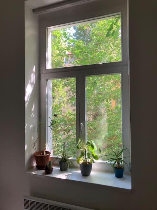 شقة Cozy Karlin براغ المظهر الخارجي الصورة